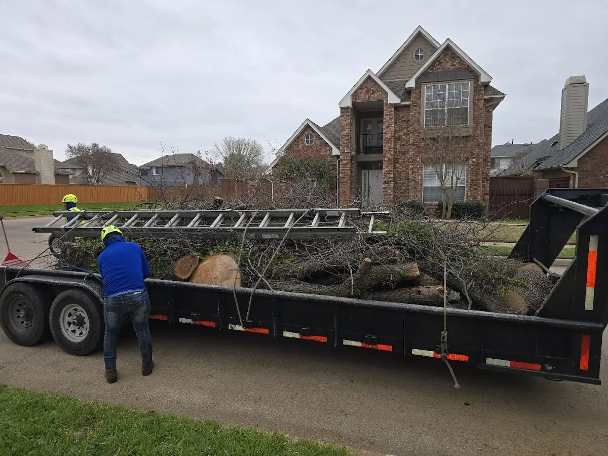 Expert Tree Fertilization with proper safety equipment in Wilsons